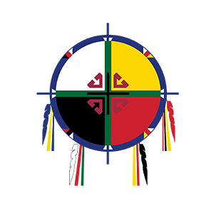 UMC NACP Logo